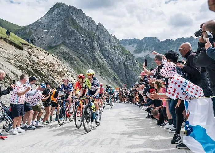 شقة Le Petit Nid *